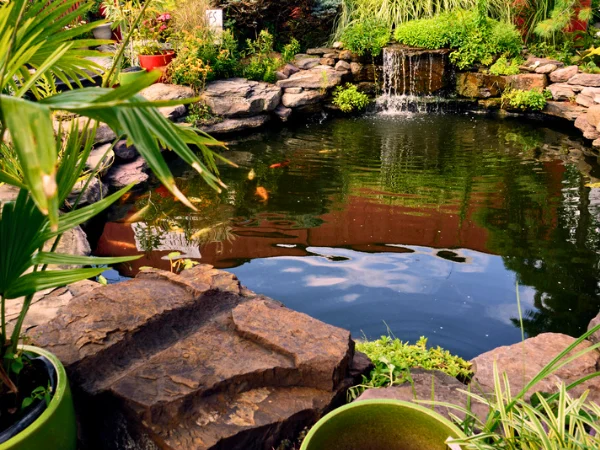 estanque en jardín