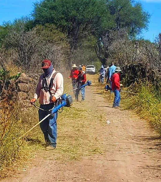 jardineros limpiando caminos