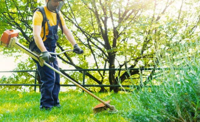 jardinero desbrozando parcela