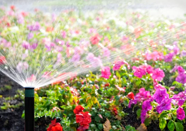 riego automático sobre flores